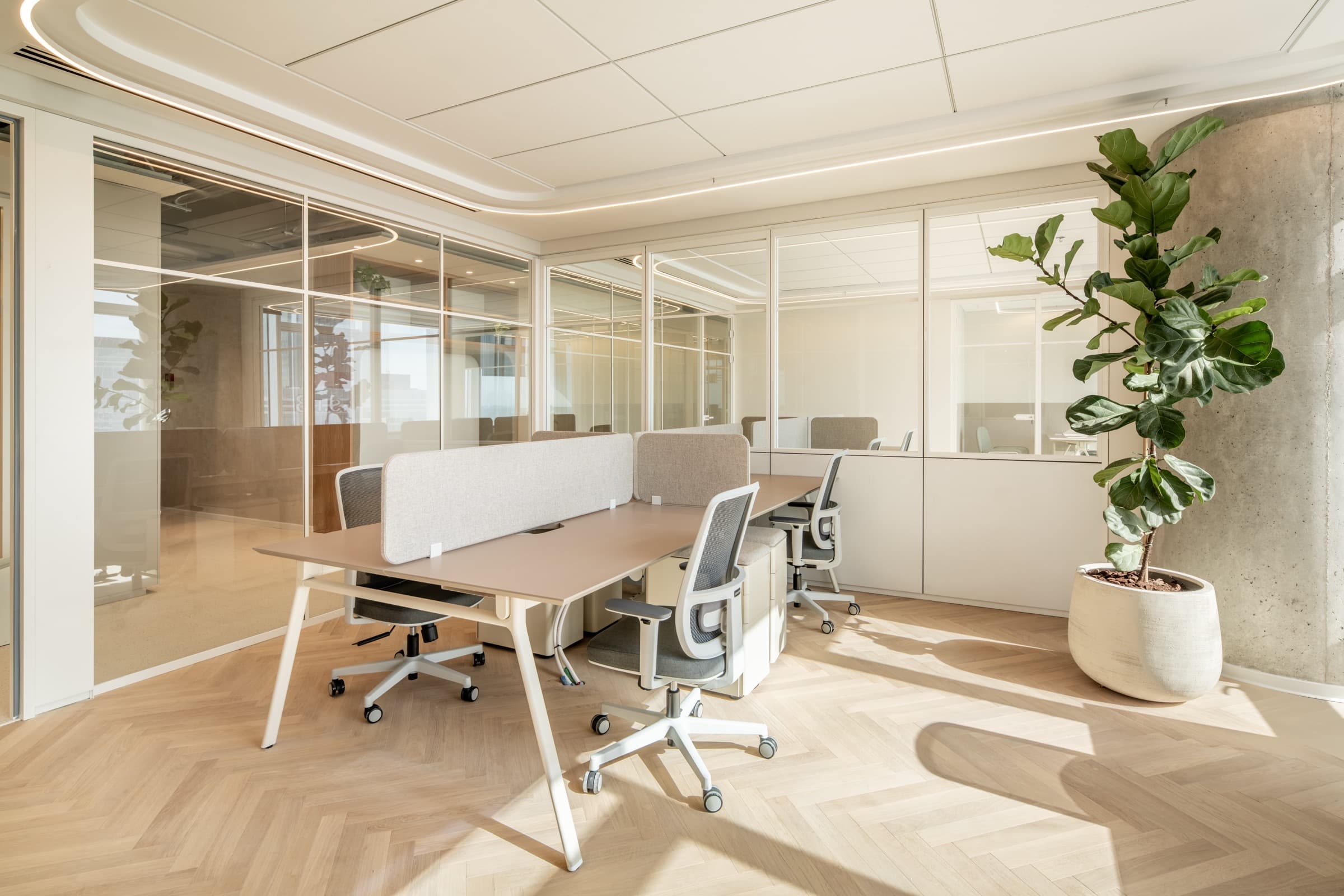 Modus studio workspace